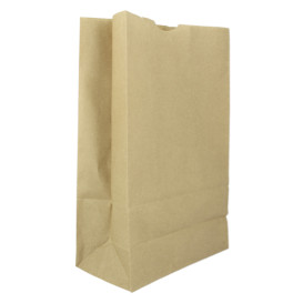 Les sacs en papier, l'alternative &eacute;cologique aux sacs en plastique
